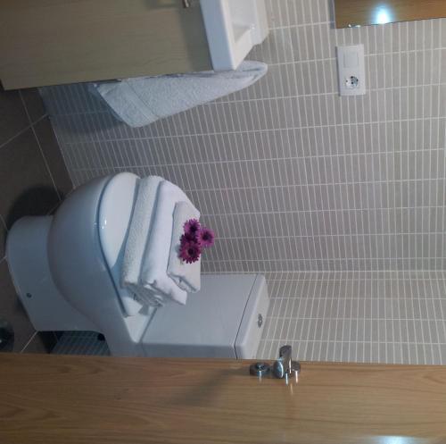 Apartamentos San Isidro 44 غرناطة المظهر الخارجي الصورة